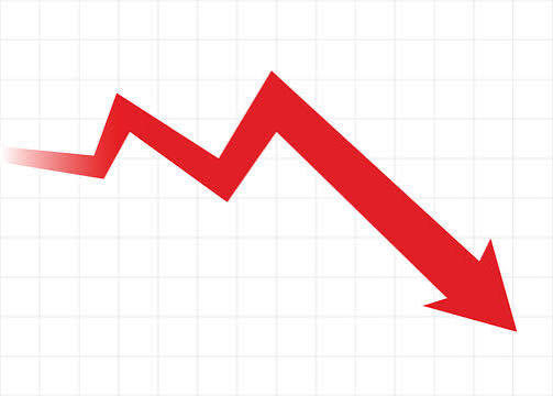 Organization Survives Financial Crisis